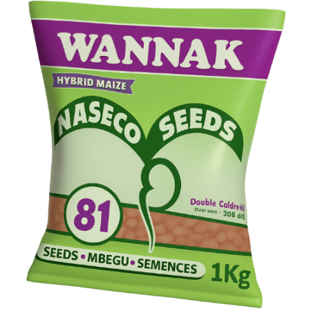 Wannak 81