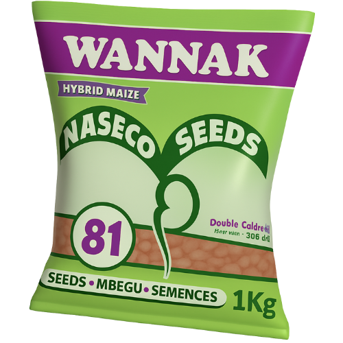 Wannak Wannak 81
